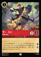 サー・ケイ(ホイル) 【AI/144/204UCH】